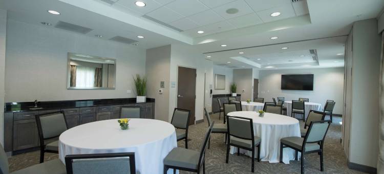 斯内尔维尔-亚特兰大东北希尔顿欢朋套房酒店(Hampton Inn & Suites Snellville Atlanta NE)图片