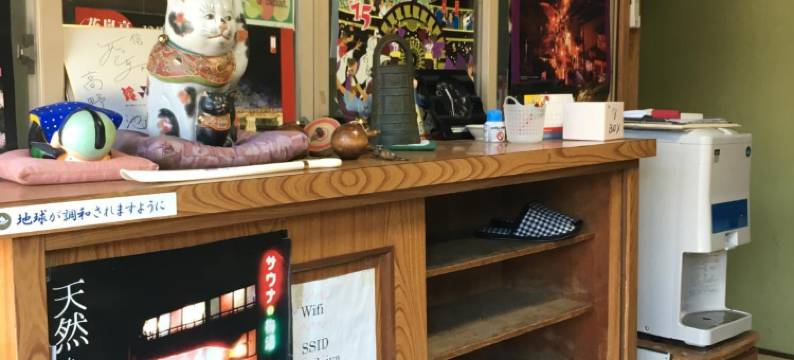 大弥旅馆(Daiya Ryokan)图片