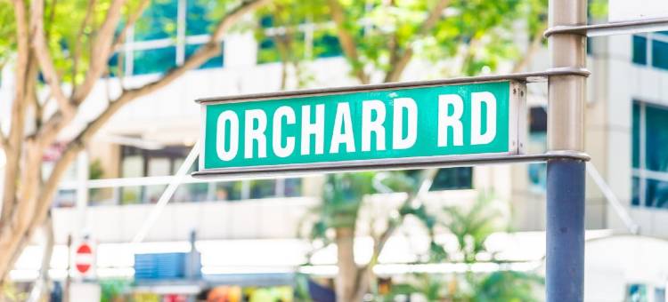 新加坡乌节市中心假日酒店 - IHG 旗下酒店(Holiday Inn Singapore Orchard City Centre)图片