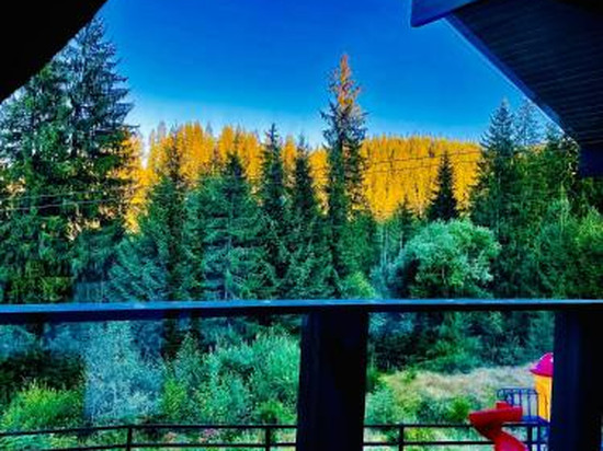 Alpine Lounge