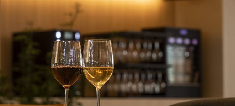 名古屋荣弗尔札酒店(Hotel Forza Nagoya Sakae)图片