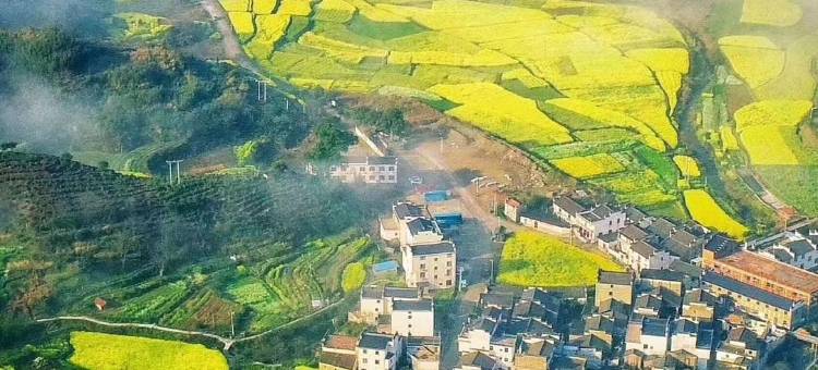 婺源涵庐民宿图片