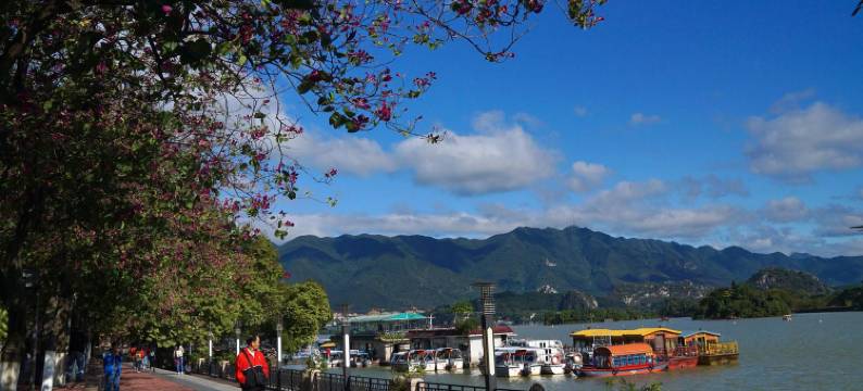 肇庆星空花园民宿图片