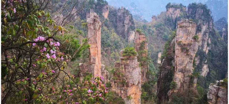 蝶恋花客栈(张家界武陵源国家森林公园店)图片