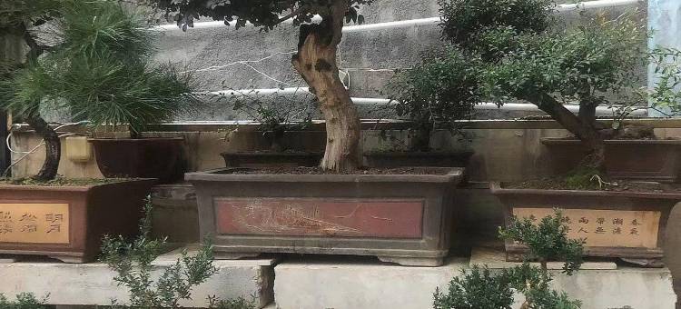 格林豪泰酒店(古田店)图片