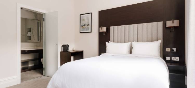 Rove酒店伦敦帕丁顿(Rove Hotel London Paddington)图片