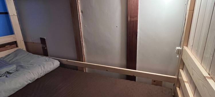 浮木(Driftwood)图片