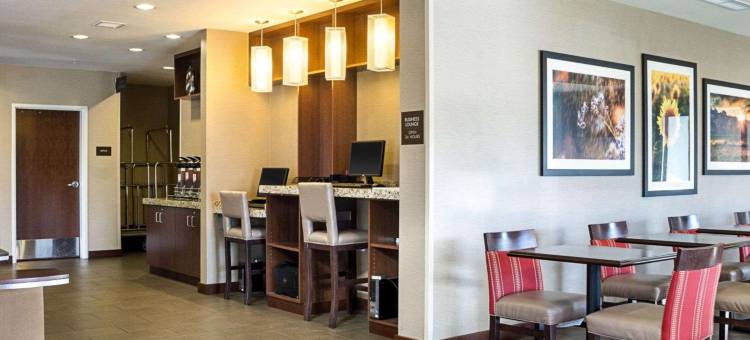 医疗中心舒适套房酒店(Comfort Suites Medical Center)图片