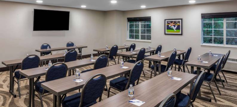 亚特兰大-巴克海特区麦客达套房酒店(Microtel Inn & Suites by Wyndham Atlanta/Buckhead Area)图片