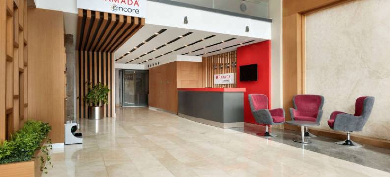 盖布泽温德姆华美达安可酒店(Ramada Encore by Wyndham Gebze)图片