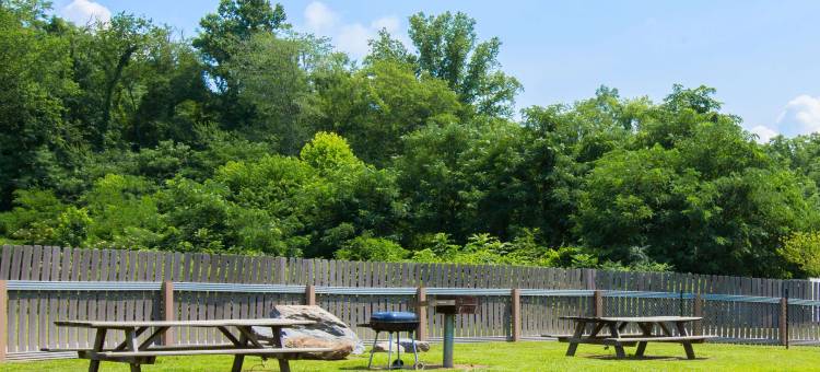 切罗基温德姆麦客达套房酒店(Microtel Inn & Suites by Wyndham Cherokee)图片