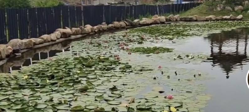 明杰日租民宿(海兰路分店)图片