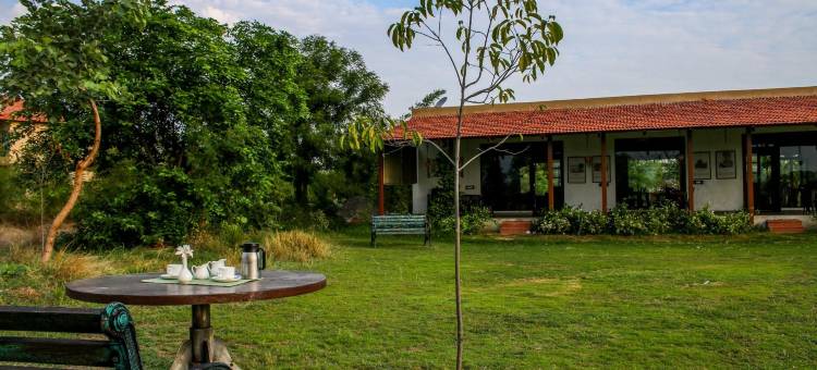 马胡阿托拉塔多巴(Mahua Tola Tadoba)图片