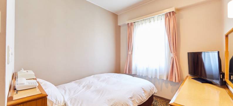 犬山中央酒店(Inuyama Central Hotel)图片