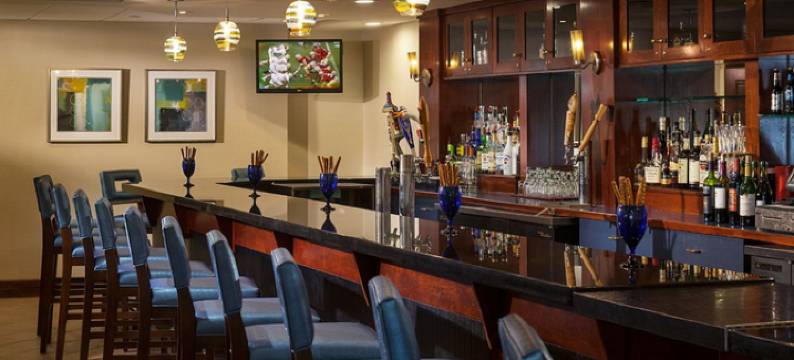 洲际酒店集团假日酒店哈特福德市中心区(Holiday Inn Hartford Downtown Area by IHG)图片