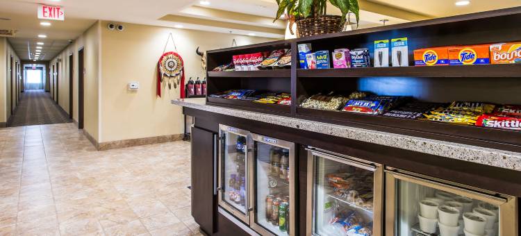 拉皮德城美茵斯坦套房酒店(MainStay Suites Rapid City)图片