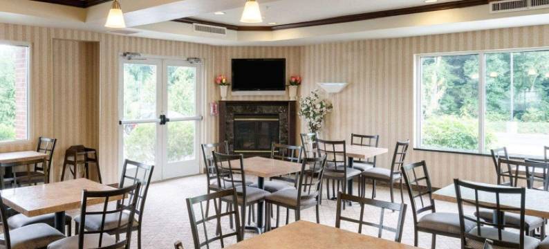 锡福德舒适全套房酒店(Comfort Suites)图片