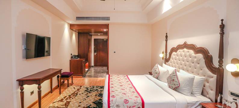 雅姆巴拉中心城市维拉斯宫殿(Regenta Central City Vilas Palace Ambala)图片