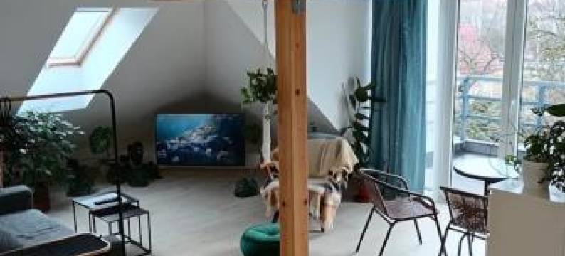 Apartman Barbara图片