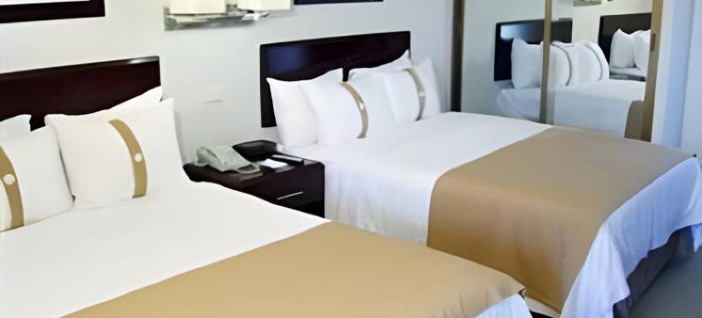 voco 埃莫西约(voco HERMOSILLO by IHG)图片