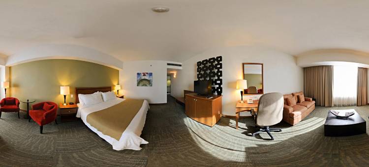 伊拉普阿托假日酒店(Holiday Inn Irapuato)图片