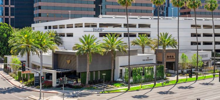 希尔顿惠庭套房酒店欧文橙县机场(Embassy Suites by Hilton Irvine Orange County Airport)图片