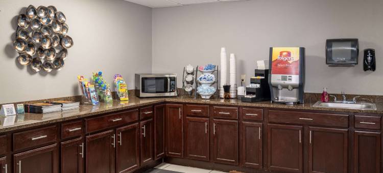 温德姆鸽子谷麦客达套房酒店(Microtel Inn & Suites by Wyndham Pigeon Forge)图片