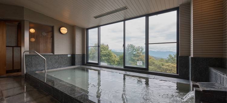 Point Vacation 廖科高原(POINT VACATION TATESHINAKOGEN)图片