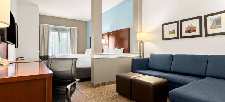 伦斯勒舒适套房酒店 - 近费尔奥克斯(Comfort Suites Rensselaer near Fair Oaks)图片