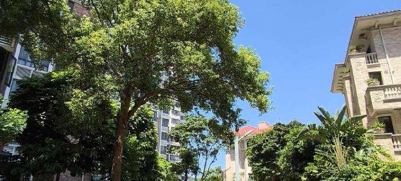南澳蔡嘻嘻民宿(海湾路分店)图片
