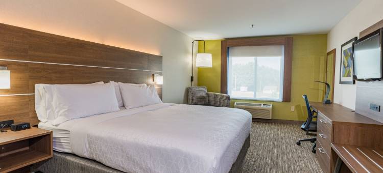 智选假日套房酒店斯旺西(Holiday Inn Express & Suites Swansea)图片