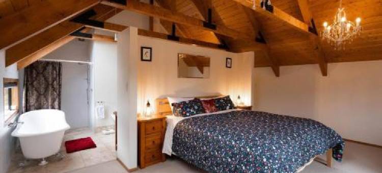 Matakana Retreat - Luxury Off Grid Lodge in Nature图片