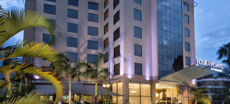 内罗毕赫林汉姆福朋喜来登酒店(Four Points by Sheraton Nairobi Hurlingham)图片