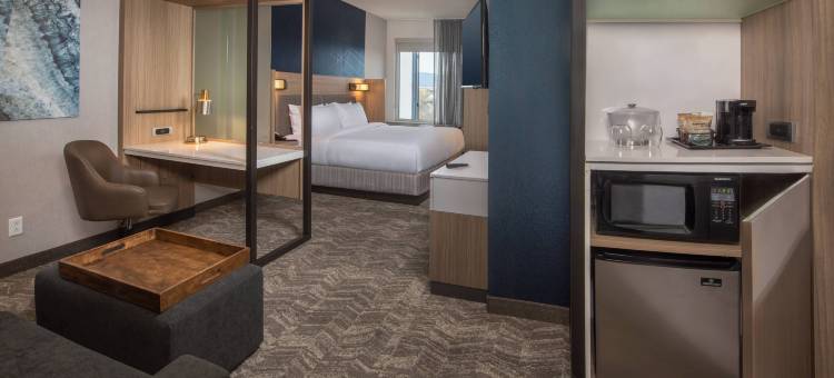 菲德里克万豪SpringHill Suites酒店(SpringHill Suites Frederick)图片