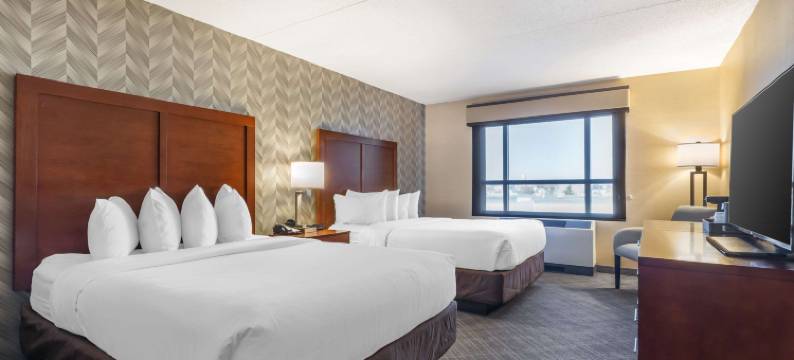 洛根国际机场舒适套房酒店(Comfort Inn & Suites Logan International Airport)图片