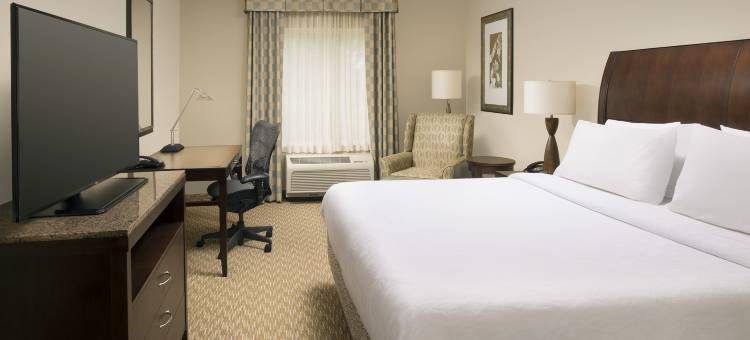 亨茨维尔南红石兵工厂希尔顿花园酒店(Hilton Garden Inn Huntsville South/Redstone Arsenal)图片