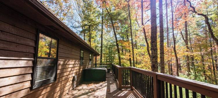 徒步/垂钓、托科阿河；热水浴缸、宠物友好山间木屋(Mountain Cabin Near Hikes/Fishing; Hot Tub, Dog-Friendly, Toccoa River)图片
