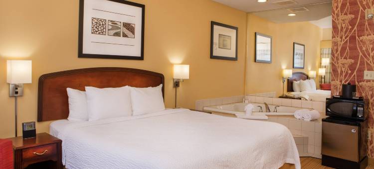 曼切斯特哈特福德万怡酒店(Courtyard Hartford Manchester)图片