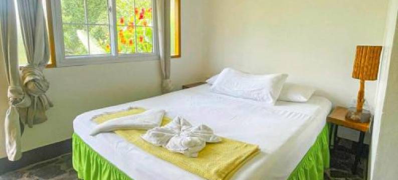 天堂旅馆(Paradiso Hostel)图片