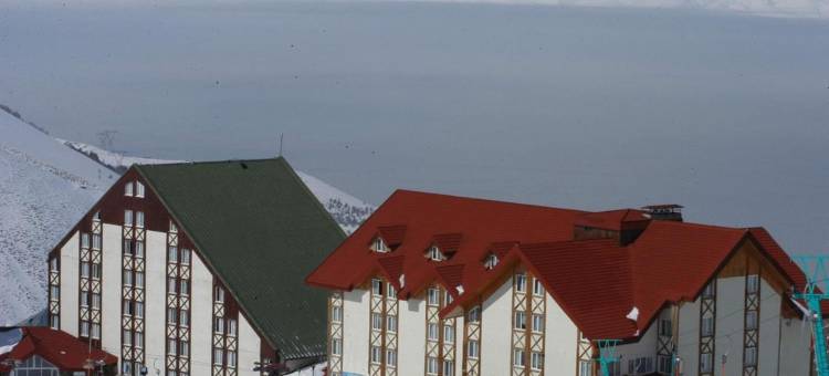 帕兰多肯德德曼度假村(Dedeman Palandoken Resort Hotel)图片