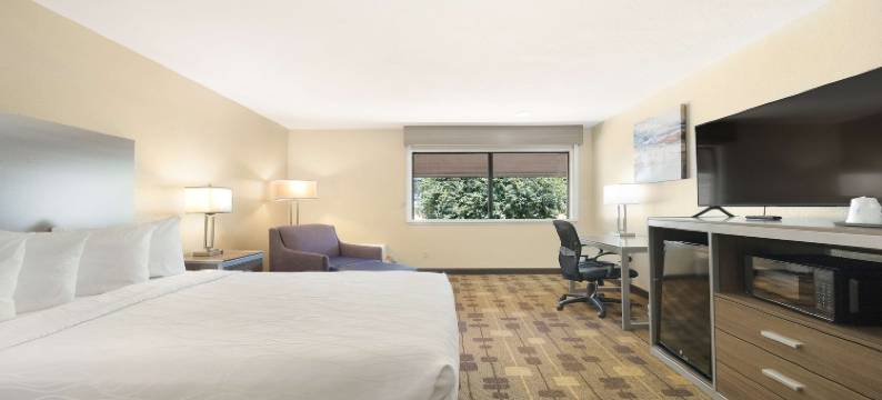 阿马多尔贝斯特韦斯特酒店(Best Western Amador Inn)图片