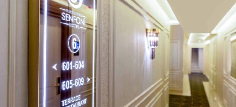 贝多芬交响乐酒店(Beethoven Senfoni Hotel)图片