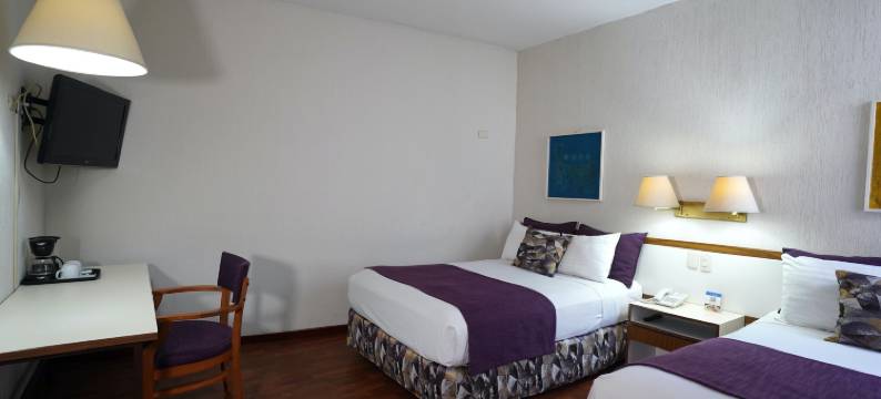 圣马可斯快捷酒店(Hotel San Marcos Express)图片