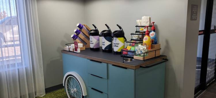 Spark by Hilton 兰辛(Spark by Hilton Lansing)图片