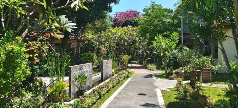 罗维纳海滩酒店(Lovina Beach Hotel)图片