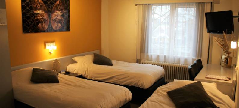 德容格希特耶斯餐厅酒店(Hotel Restaurant de Jonge Heertjes)图片