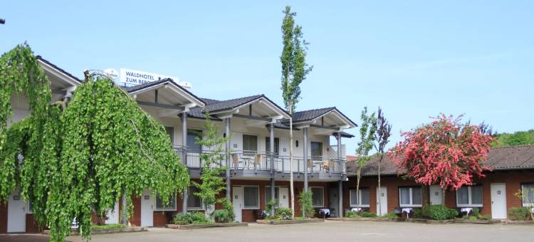 达美山湖沃尔德酒店(Waldhotel zum Bergsee Damme)图片