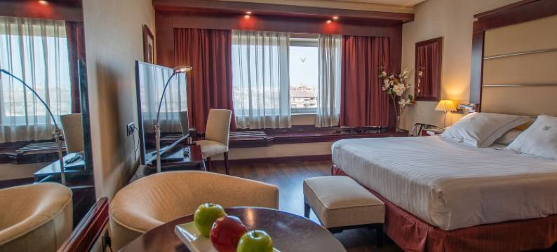 安达卢西亚中心酒店(Hotel Andalucía Center)图片