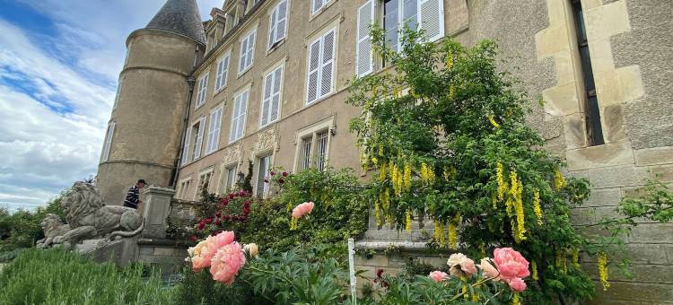 布雷特城堡酒店(Château de Blet)图片