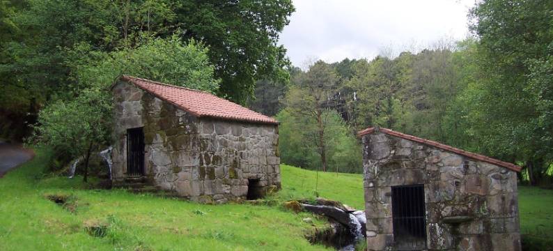 罗萨利亚加斯卓诺米考乡村民宿酒店(Hotel Gastronómico Casa Rosalia)图片